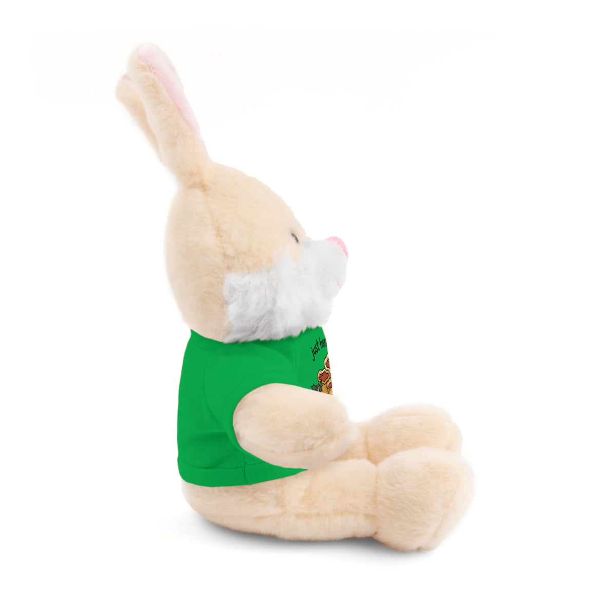 8” Varied Stuffed Animals, Butter Tarts (Custom)