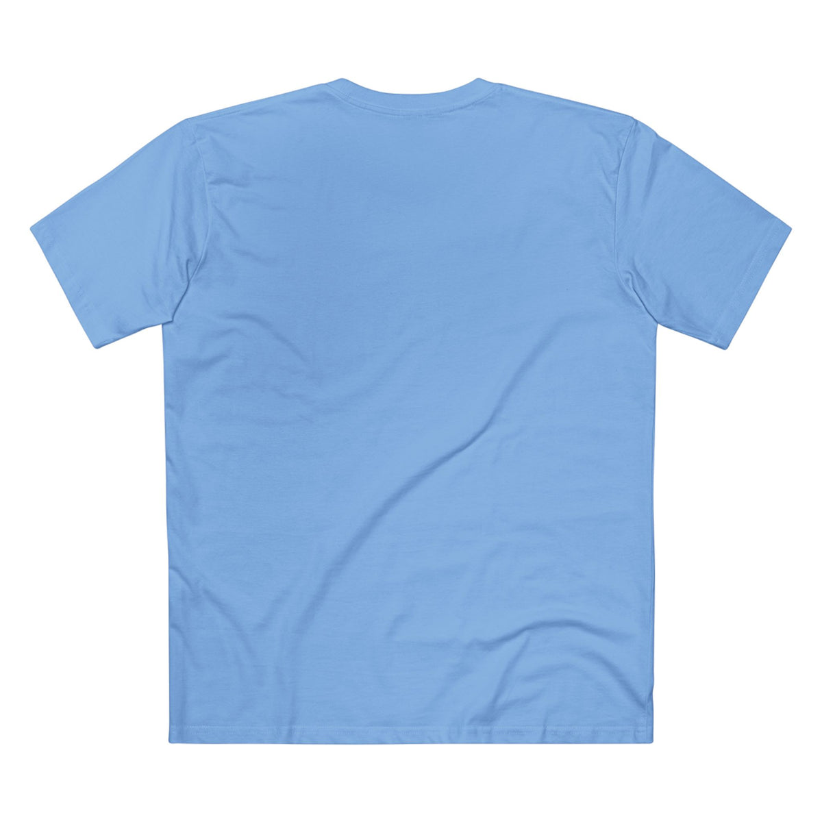 Casual Tee, Silly Goose Season (All Colors)